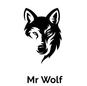 MR WOLF